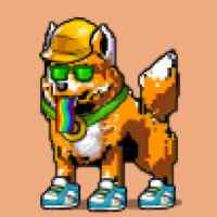 DogePunks #1853