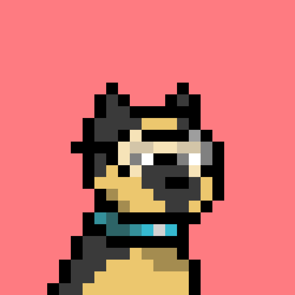 Doginal Dog #4382