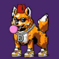 DogePunks #3555