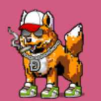 DogePunks #3719