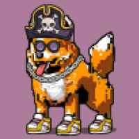 DogePunks #4262