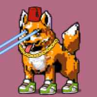 DogePunks #1767