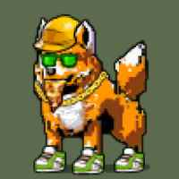 DogePunks #492