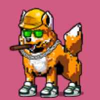 DogePunks #3508