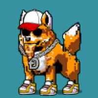 DogePunks #4899