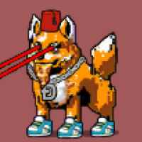 DogePunks #969
