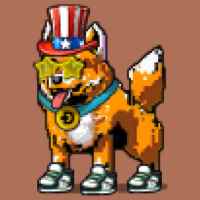 DogePunks #2763