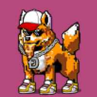 DogePunks #4735