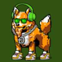 DogePunks #1558
