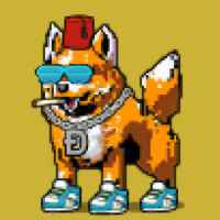 DogePunks #3746