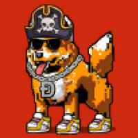 DogePunks #4988