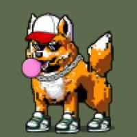 DogePunks #1635