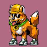 DogePunks #4904