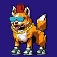 DogePunks #1223