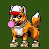DogePunks #988