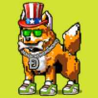 DogePunks #4535