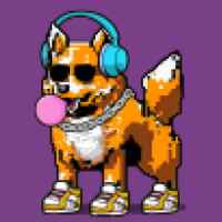 DogePunks #3817