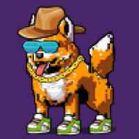 DogePunks #4806