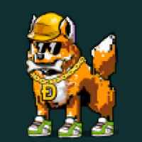 DogePunks #1018
