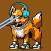 DogePunks #818