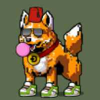 DogePunks #317