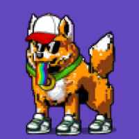 DogePunks #4145