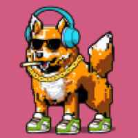 DogePunks #3673