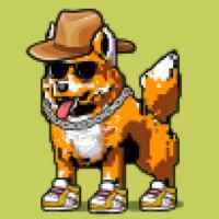 DogePunks #1661