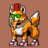 DogePunks #4347