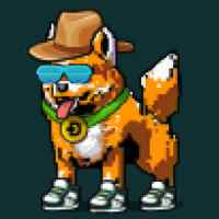 DogePunks #2246