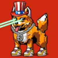 DogePunks #2117
