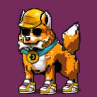 DogePunks #2732