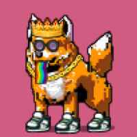 DogePunks #1272