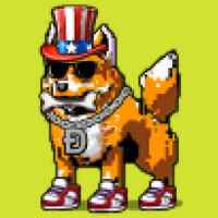 DogePunks #3490