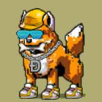 DogePunks #4366