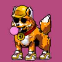 DogePunks #1778