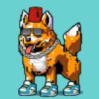 DogePunks #192