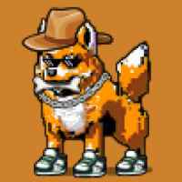 DogePunks #4897