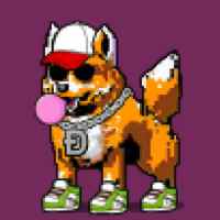 DogePunks #383