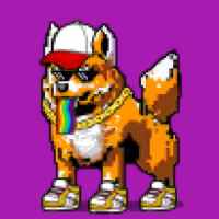 DogePunks #575
