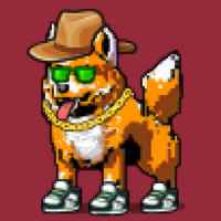 DogePunks #1736