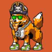 DogePunks #4989