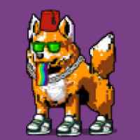 DogePunks #4199
