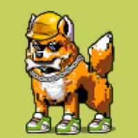 DogePunks #1329