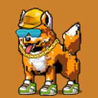 DogePunks #2025