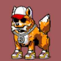 DogePunks #4047