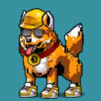 DogePunks #3506