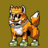 DogePunks #529