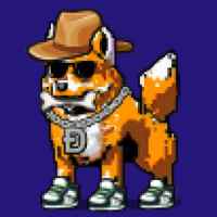 DogePunks #3437