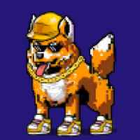 DogePunks #2297